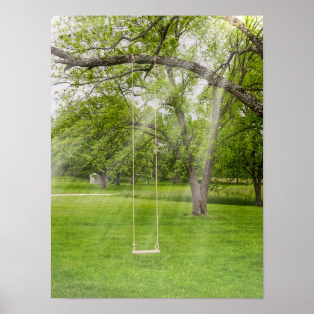 Poster Balançando À Luz Do Sol (Frente)