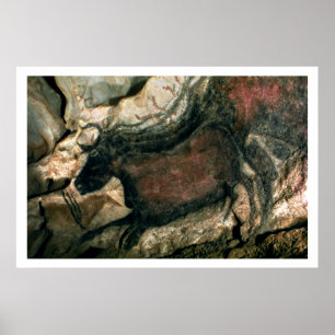 Poster Balance a pintura de um touro preto, c.17000 BC