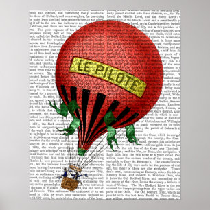 Póster Balão de ar quente Jardin De Tuileries