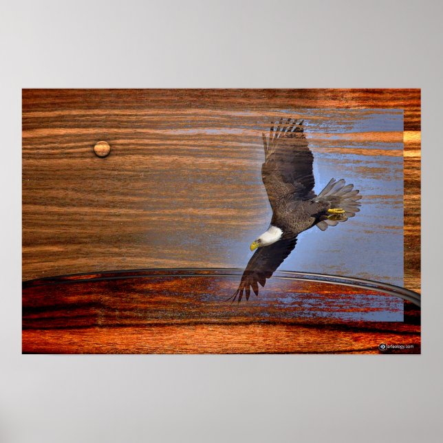 POSTER BALD EAGLE (Frente)