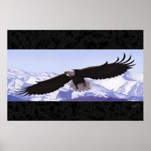 Poster Bald Eagle