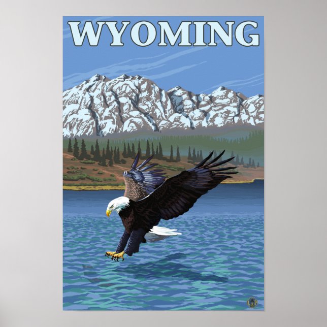 Póster Bald Eagle Diving - Wyoming (Frente)