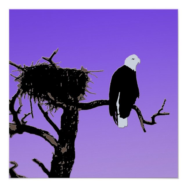 Póster Bald Eagle em Sunset - Arte original sobre a vida  (Frente)