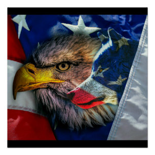 Póster Bald Eagle Wolf American Flag