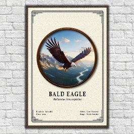 Poster Bald Eagle Zoology Series