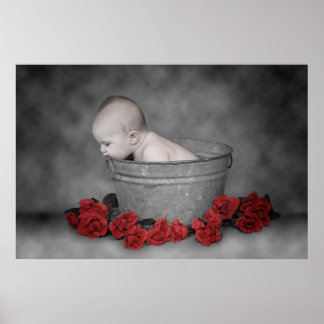 Póster BALDE e ROSAS