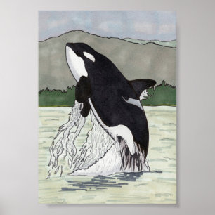 Poster Baleia 5x7 da orca/assassino