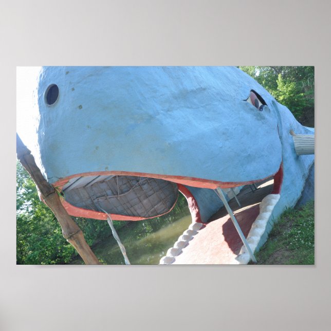 Poster Baleia Azul - Rota 66 (Frente)