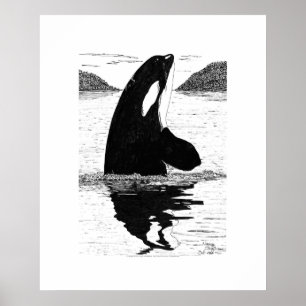 Poster Baleia, caneta e tinta de assassino da