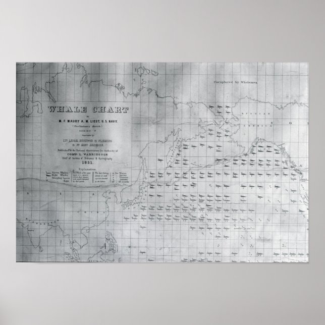 Póster Baleia do Pacífico Norte, 1851 (Frente)