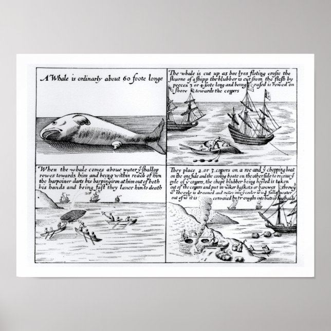 Poster Baleia em Spitzbergen em 1611 (gravura) (b/w ph (Frente)