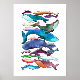 poster 'Baleia, Golfinho e Porpoise' (Pequeno - Gr