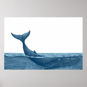 Poster Baleia no oceano Pequeno