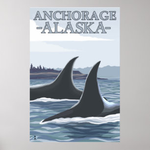 Poster Baleias #1 da orca - Anchorage, Alaska