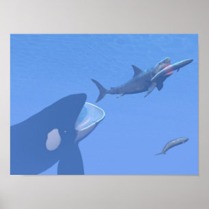 Póster Baleias e megalodon submarino - renderização 3D