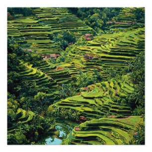 Póster Bali Indonésia Vibrantes Terraços de Arroz Verdes 