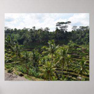 Póster Bali Ubud Rice Field Terrace