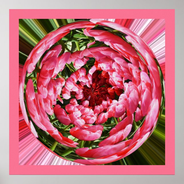 Póster Ball of tulipas floral art (Frente)