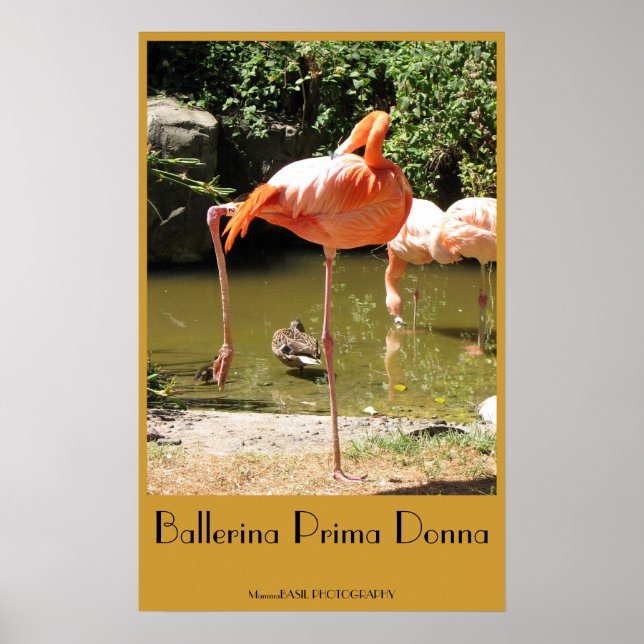 Póster Ballerina Prima Donna Poster! (Frente)