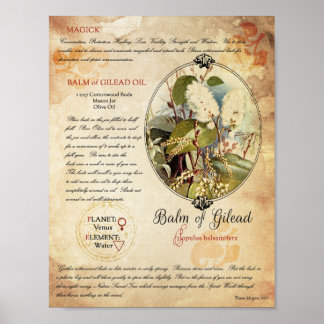Póster BALM of GILEAD