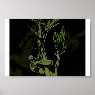 Póster Bamboo