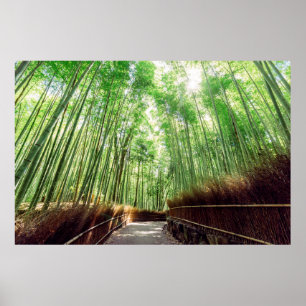 Poster Bamboo Grove   Arashiyama, Quioto, Japão