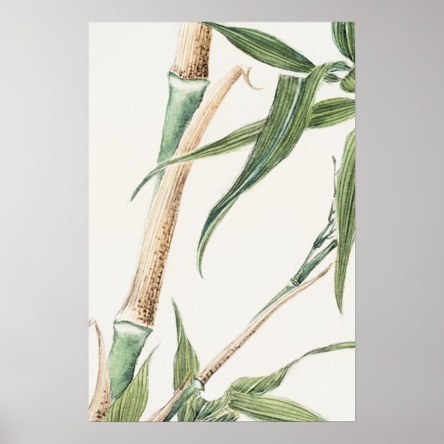 Poster Bamboo Leaf Vintage Art (Frente)