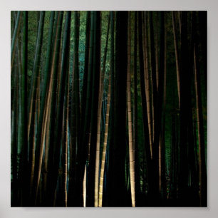 Poster Bambu alto na noite