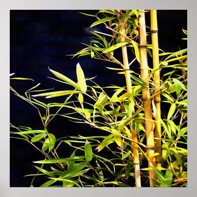 Poster Bambu Foliage Arte Tropical Em Preto (Frente)