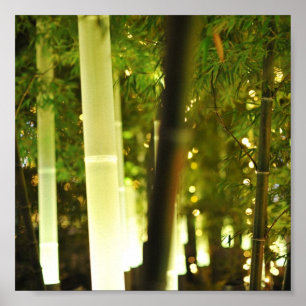 Poster Bambu iluminado. Tokyo, Japão