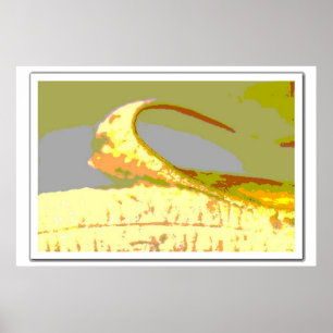 Póster Banana Art