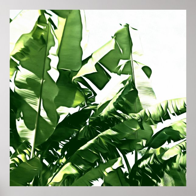 Poster Banana deixa pintura monocromática verde (Frente)