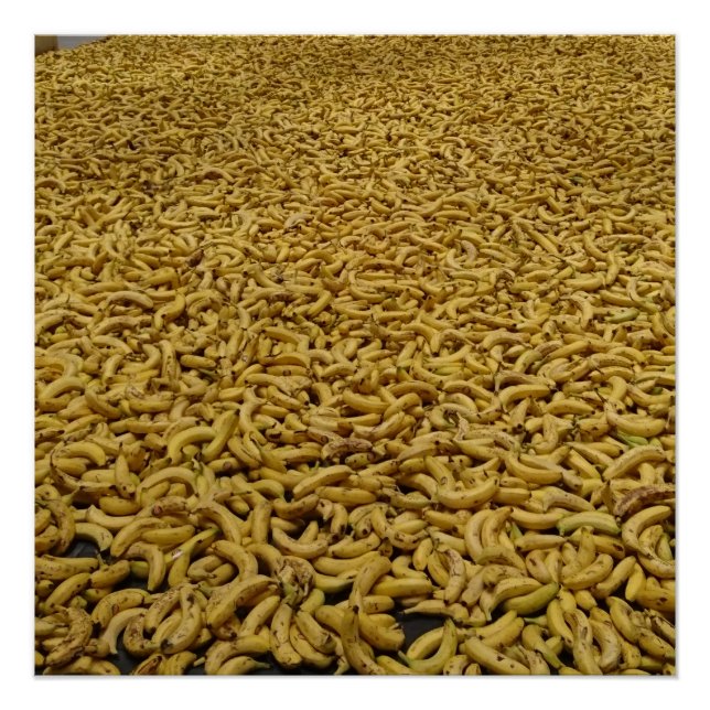 Póster Banana Republic 20" x 20",Papel Poster,Semibrilho (Frente)