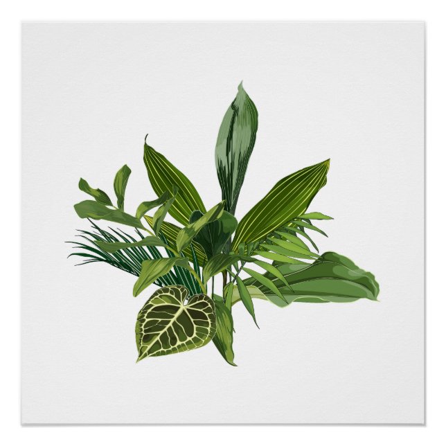 Póster Banana tropical de palma e folhas exóticas. (Frente)