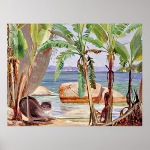 Poster Bananas e Rochas em Paqueta, Brasil,