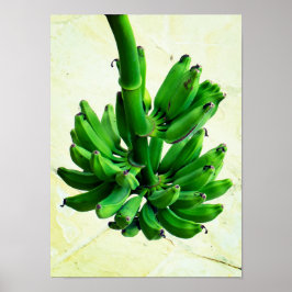 Poster Bananas verdes