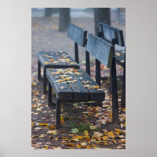 Poster Banco de parque em manhã nebulosa, Alemanha (Frente)