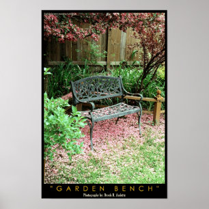 Póster Banco do jardim