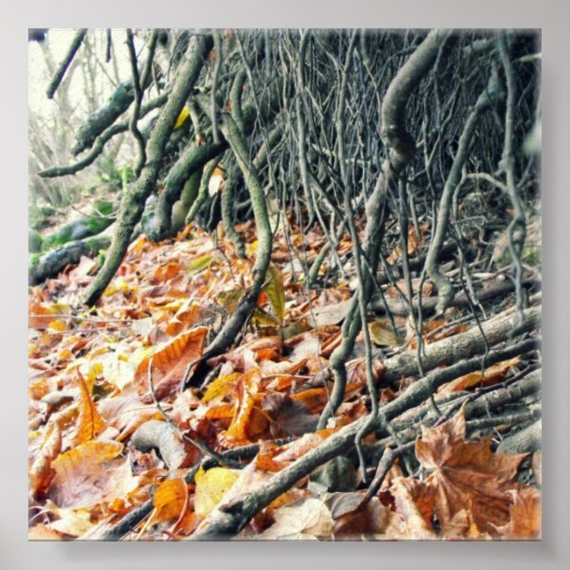 Póster Banco do rio Hafren (Frente)