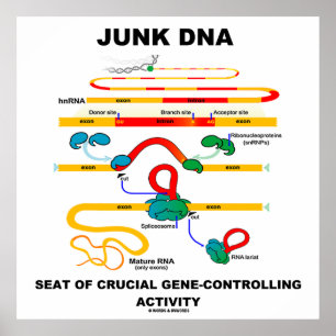 Póster Banco Junk DNA De Atividade Crucial De Controle De