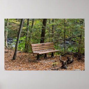 Poster Banco Tranquilo na Floresta no Outono