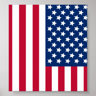 Póster Bandeira Americana