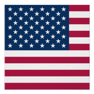 Póster Bandeira Americana