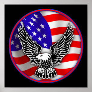Poster Bandeira Americana Águia Careca Estados Unidos Car