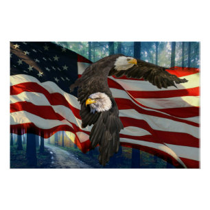 Póster Bandeira Americana Bald Eagle