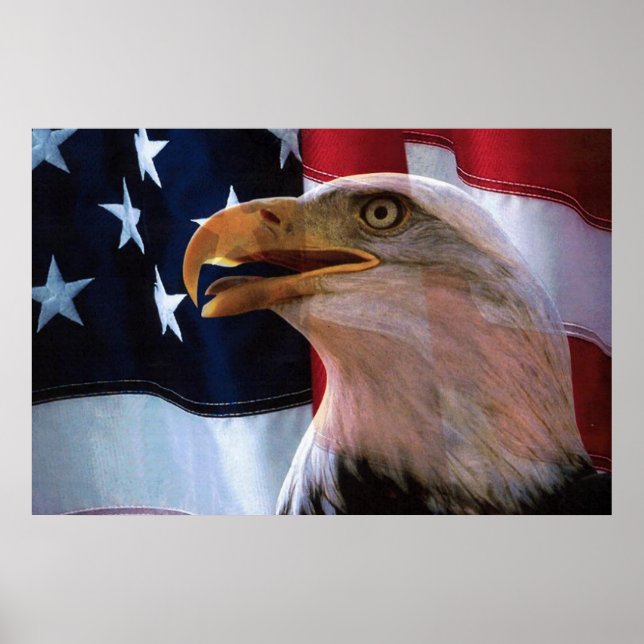 Póster Bandeira americana com águia careca (Frente)