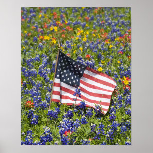 Poster Bandeira Americana em campo de Blue Bonnets,
