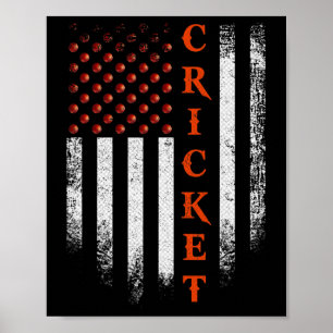 Poster Bandeira Americana Vintage Us Jogador de Críquete