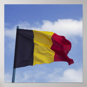 Poster bandeira belga RF)