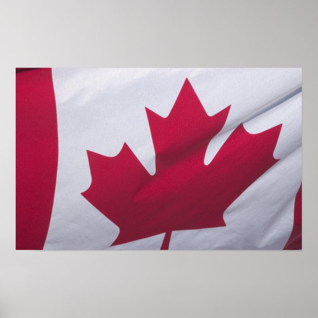 Poster Bandeira canadense. (Frente)